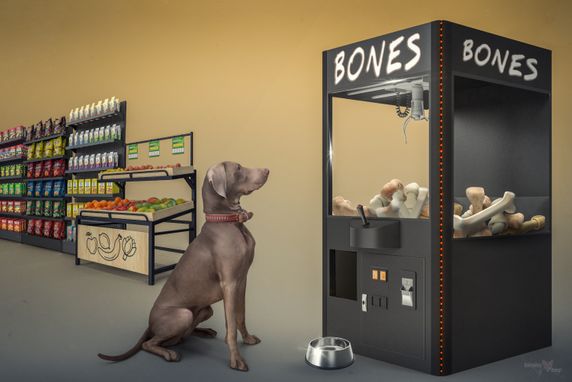 dog with bones-1